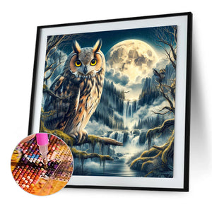 Owl 40*40CM(Picture) Full Square Drill Diamond Painting