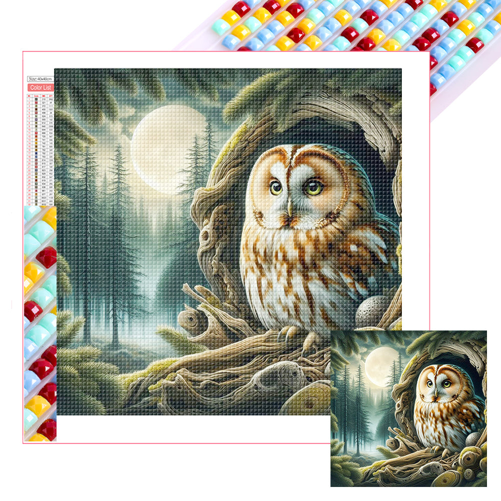 Owl 40*40CM(Picture) Full Square Drill Diamond Painting