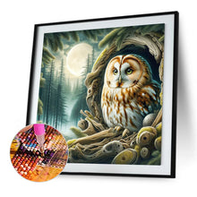 Load image into Gallery viewer, Owl 40*40CM(Picture) Full Square Drill Diamond Painting
