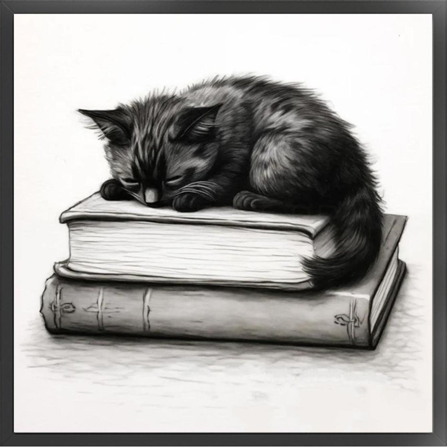 Black Cat On Book - Full 11CT Stamped Cross Stitch 40x40CM - Diy