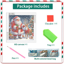 Load image into Gallery viewer, Santa Claus 30*30CM(Canvas) Partial Special Shaped Drill Diamond Painting
