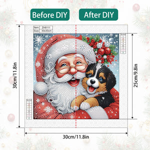 Santa Claus 30*30CM(Canvas) Partial Special Shaped Drill Diamond Painting