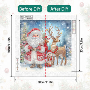 Santa Claus 30*30CM(Canvas) Partial Special Shaped Drill Diamond Painting