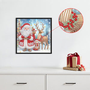 Santa Claus 30*30CM(Canvas) Partial Special Shaped Drill Diamond Painting