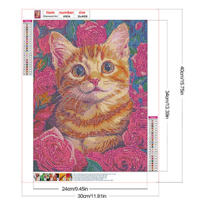 Rose Orange Cat 30*40CM(Canvas) Full Round Drill Diamond Painting