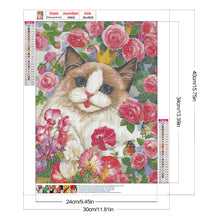 Load image into Gallery viewer, Rose Ragdoll Cat 30*40CM(Canvas) Full Round Drill Diamond Painting
