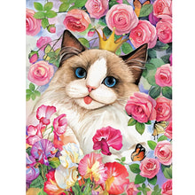 Load image into Gallery viewer, Rose Ragdoll Cat 30*40CM(Canvas) Full Round Drill Diamond Painting
