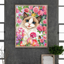 Load image into Gallery viewer, Rose Ragdoll Cat 30*40CM(Canvas) Full Round Drill Diamond Painting
