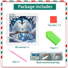 Load image into Gallery viewer, Winter Snow Scene Bird 30*30CM(Canvas) Partial Special Shaped Drill Diamond Painting
