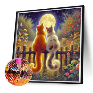 Cat Back 50*50CM(Canvas) Full Round Drill Diamond Painting