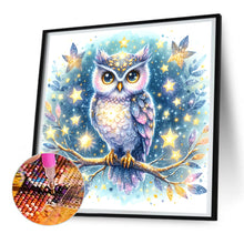 Load image into Gallery viewer, Owl 30*30CM(Canvas) Full Round Drill Diamond Painting
