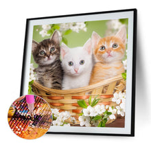 Load image into Gallery viewer, Three Cats 40*40CM(Canvas) Full Round Drill Diamond Painting
