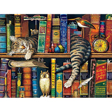 Load image into Gallery viewer, Cat On The Bookshelf 40*30CM(Canvas) Full Round Drill Diamond Painting
