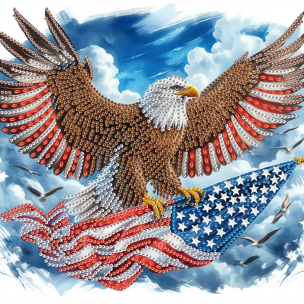 Eagle 30*30CM(Canvas) Partial Special Shaped Drill Diamond Painting