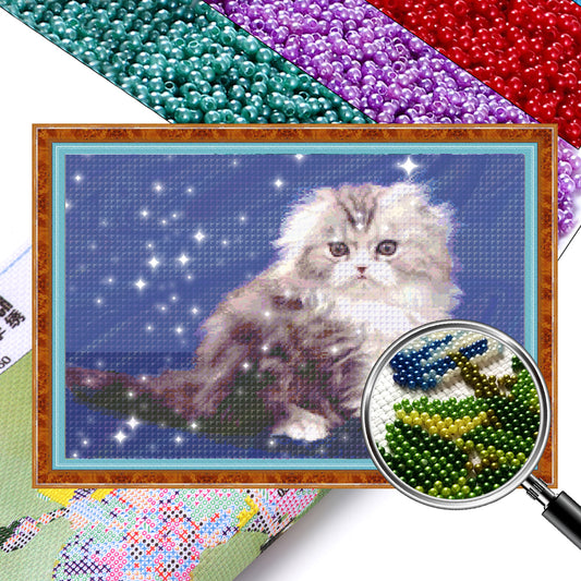 Persian Cat - Full  9CT Stamped Cross Stitch - Bead Embroidery 70x50CM/27.56x19.69in