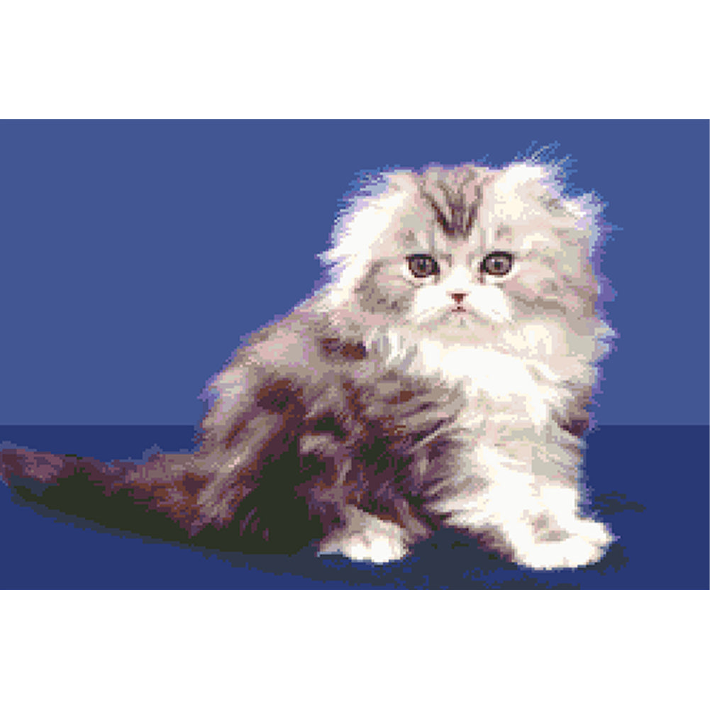 Persian Cat - Full  9CT Stamped Cross Stitch - Bead Embroidery 70x50CM/27.56x19.69in