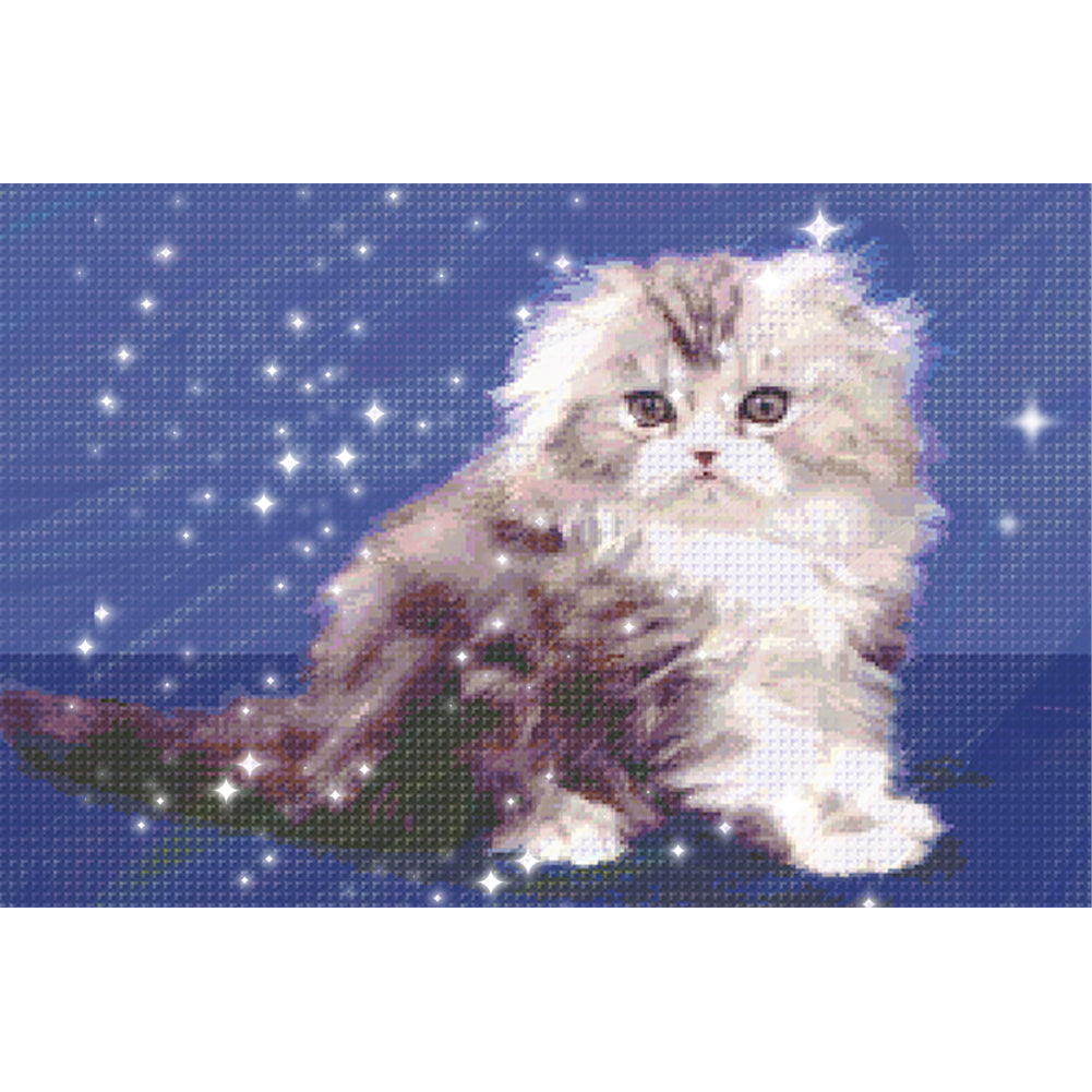 Persian Cat - Full  9CT Stamped Cross Stitch - Bead Embroidery 70x50CM/27.56x19.69in