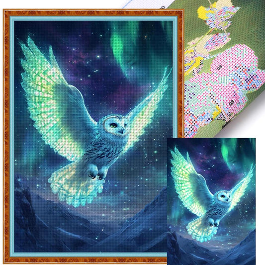 Fluorescent Owl - Full 11CT Stamped Cross Stitch 40x60CM - Huacan