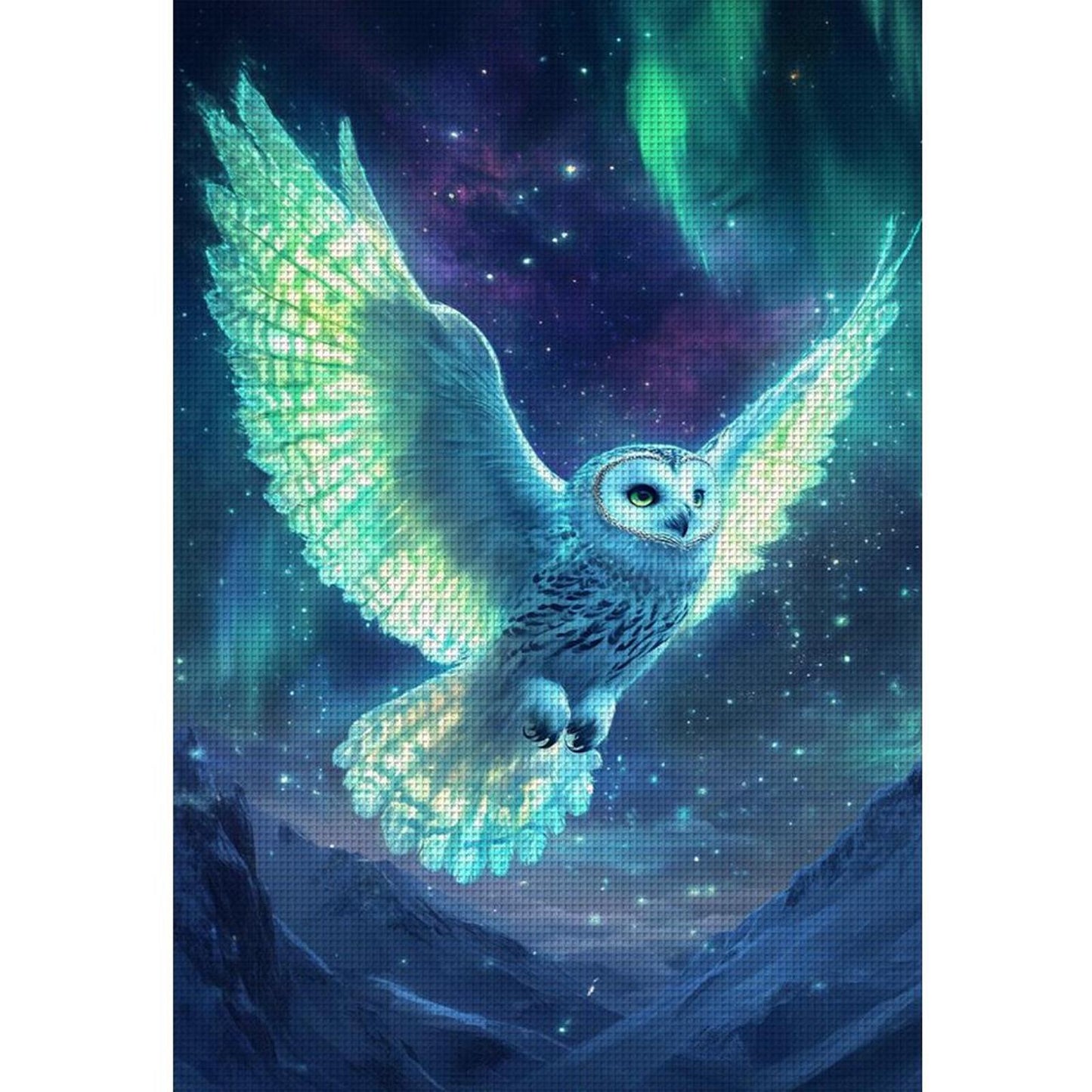 Fluorescent Owl - Full 11CT Stamped Cross Stitch 40x60CM - Huacan