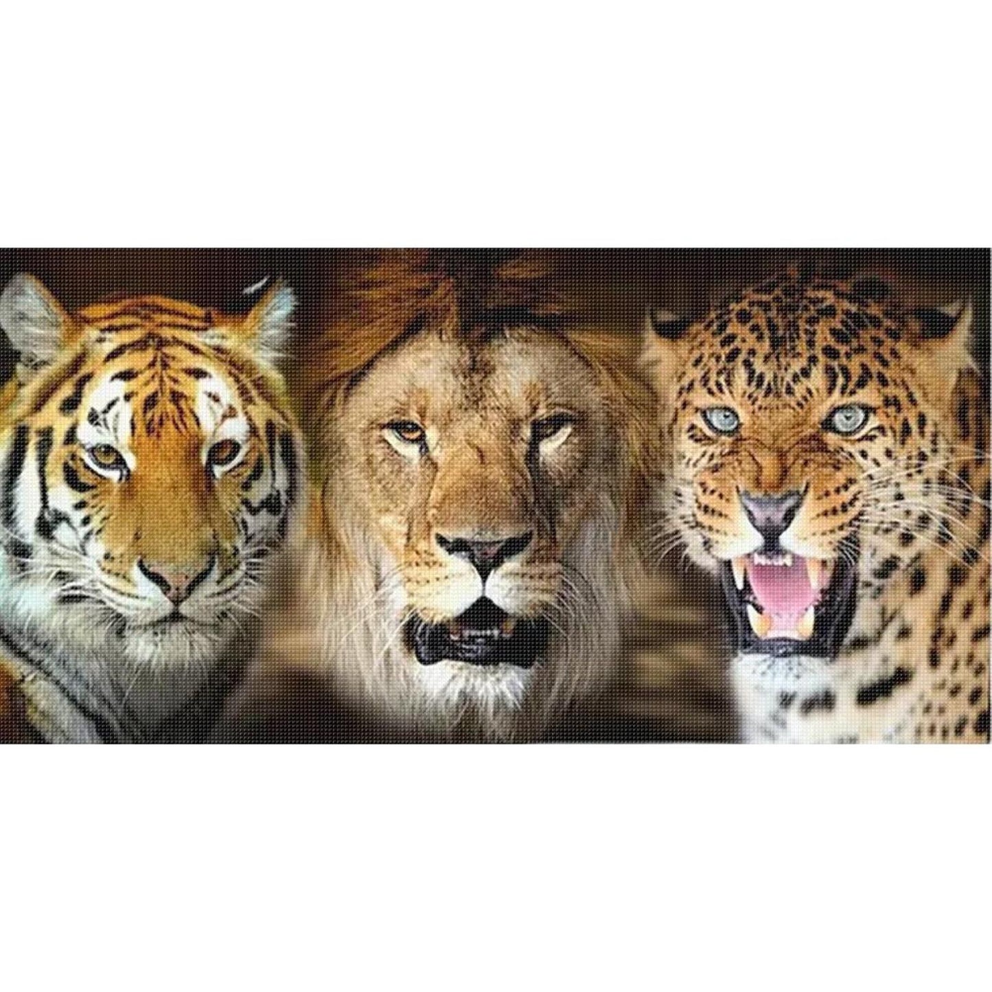 Tiger, Leopard And Lion - Full 11CT Stamped Cross Stitch 80x40CM - Huacan
