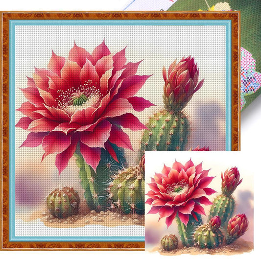 Cactus Flower - Full 11CT Stamped Cross Stitch 40x40CM - Band