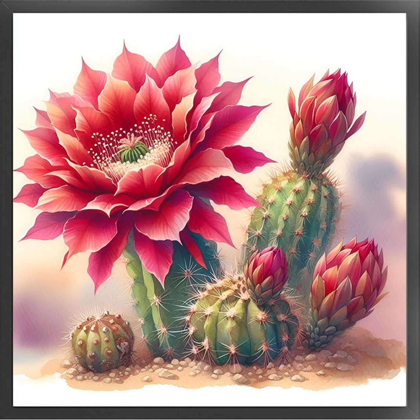 Cactus Flower - Full 11CT Stamped Cross Stitch 40x40CM - Band