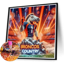 Load image into Gallery viewer, Denver Broncos Team 40*40CM(Canvas) Full Round Drill Diamond Painting

