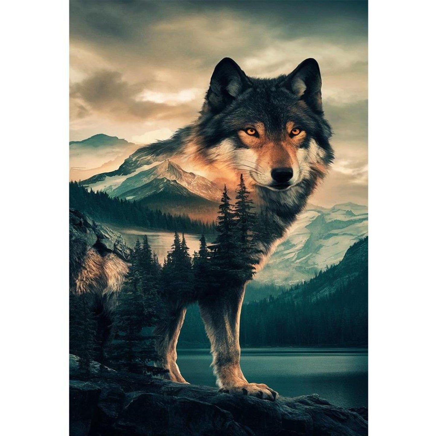 Forest Wolf - Full 11CT Stamped Cross Stitch 40x60CM - Huacan