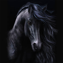 Load image into Gallery viewer, Dark Horse 50*50CM(Picture) Full AB Round Drill Diamond Painting

