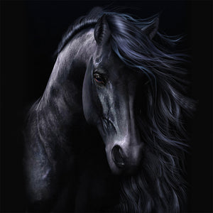 Dark Horse 50*50CM(Picture) Full AB Round Drill Diamond Painting