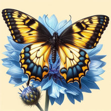 Load image into Gallery viewer, Blue Butterfly 40*40CM(Canvas) Full Round Drill Diamond Painting

