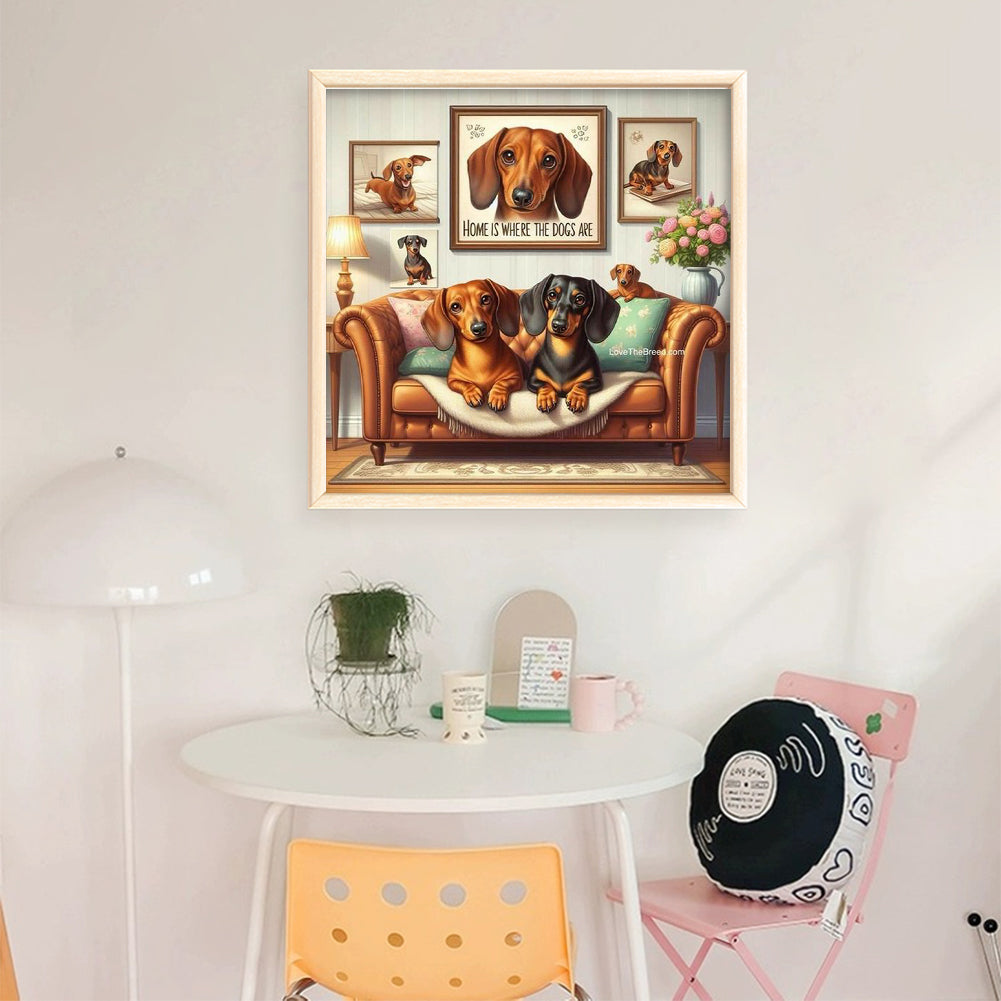 Dachshund On Sofa - Full 11CT Stamped Cross Stitch 45x45CM - Huacan