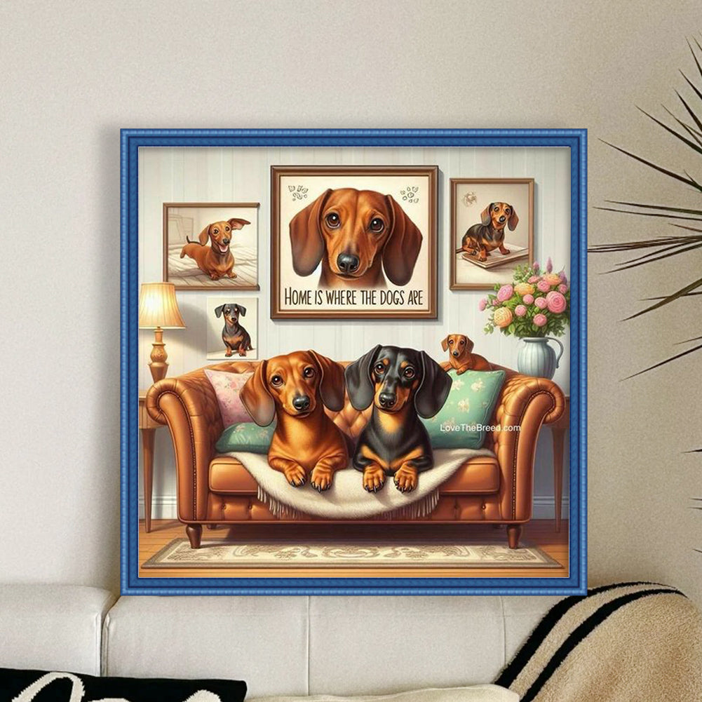 Dachshund On Sofa - Full 11CT Stamped Cross Stitch 45x45CM - Huacan