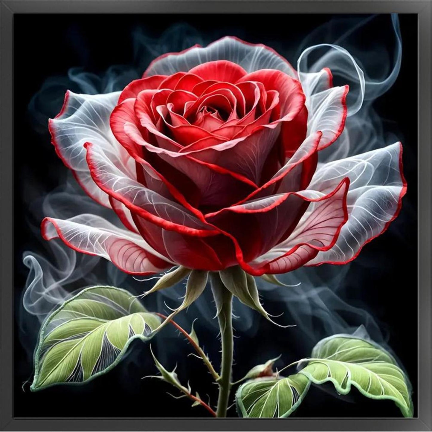 Rose - Full 11CT Stamped Cross Stitch 40x40CM - Huacan