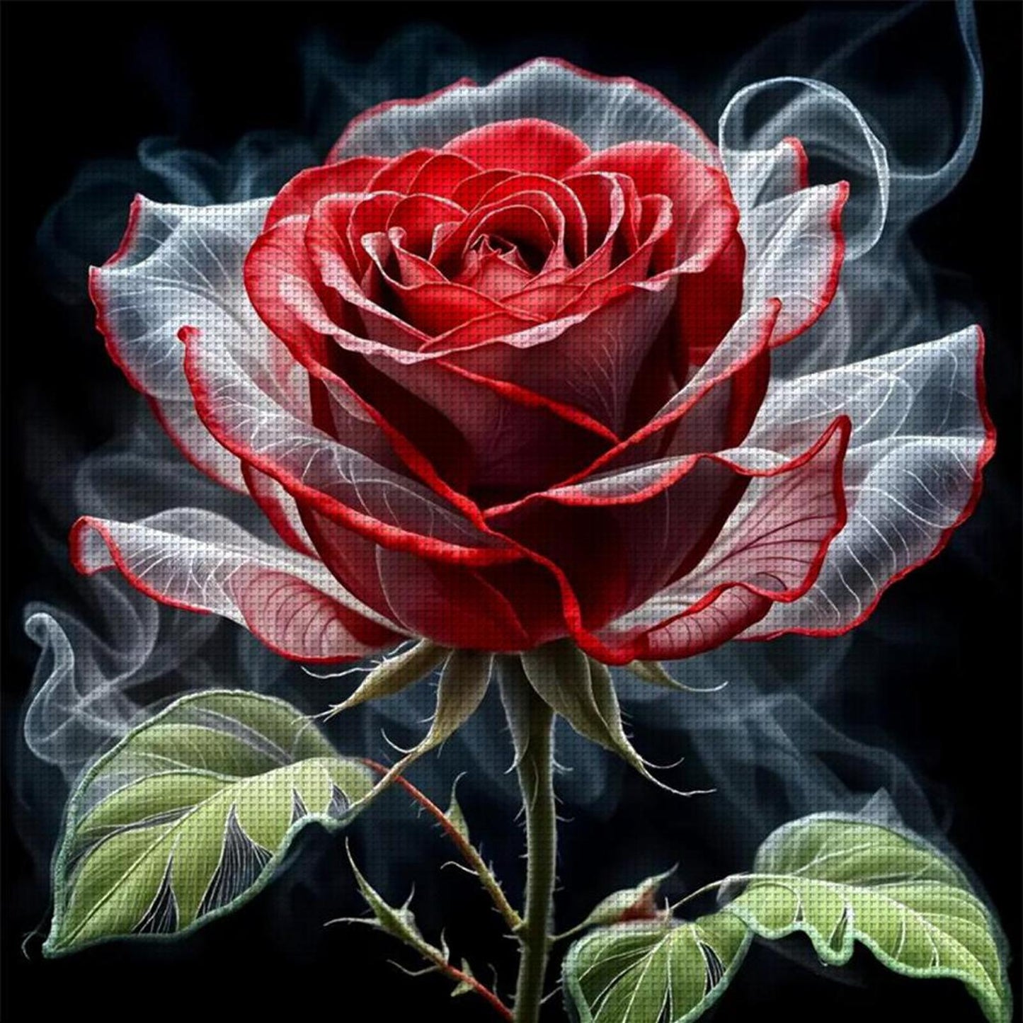 Rose - Full 11CT Stamped Cross Stitch 40x40CM - Huacan