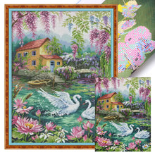 Load image into Gallery viewer, Playful swans-40*55CM  14CT Stamped Cross Stitch (Xiaobai Brand)
