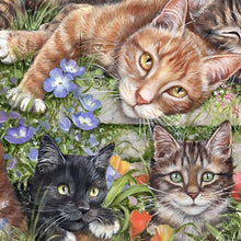 Load image into Gallery viewer, Three Cats 40*40CM(Canvas) Full Round Drill Diamond Painting
