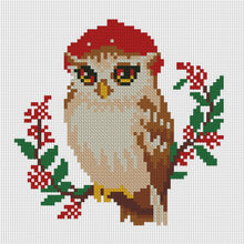 Load image into Gallery viewer, Owl - 24*24CM 11CT Stamped Cross Stitch (Mona Lisa Brand)
