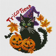 Load image into Gallery viewer, Halloween Pumpkin Black Cat - 24*24CM 11CT Stamped Cross Stitch (Mona Lisa Brand)
