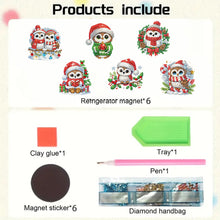 Load image into Gallery viewer, 6PCS 2D Flat DIY Diamond Art Refrigerator Magnet Sticker for Home Kitchen Decor
