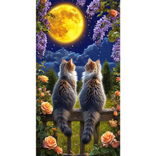 Load image into Gallery viewer, Cat Under The Moonlight 40*70CM(Canvas) Full Round Drill Diamond Painting
