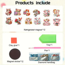 Load image into Gallery viewer, 12PCS 2D Flat DIY Magnetic Refrigerator Stickers Diamond Art Kits for Home Decor
