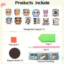 Load image into Gallery viewer, 12PCS 2D Flat DIY Magnetic Refrigerator Stickers Diamond Art Kits for Home Decor
