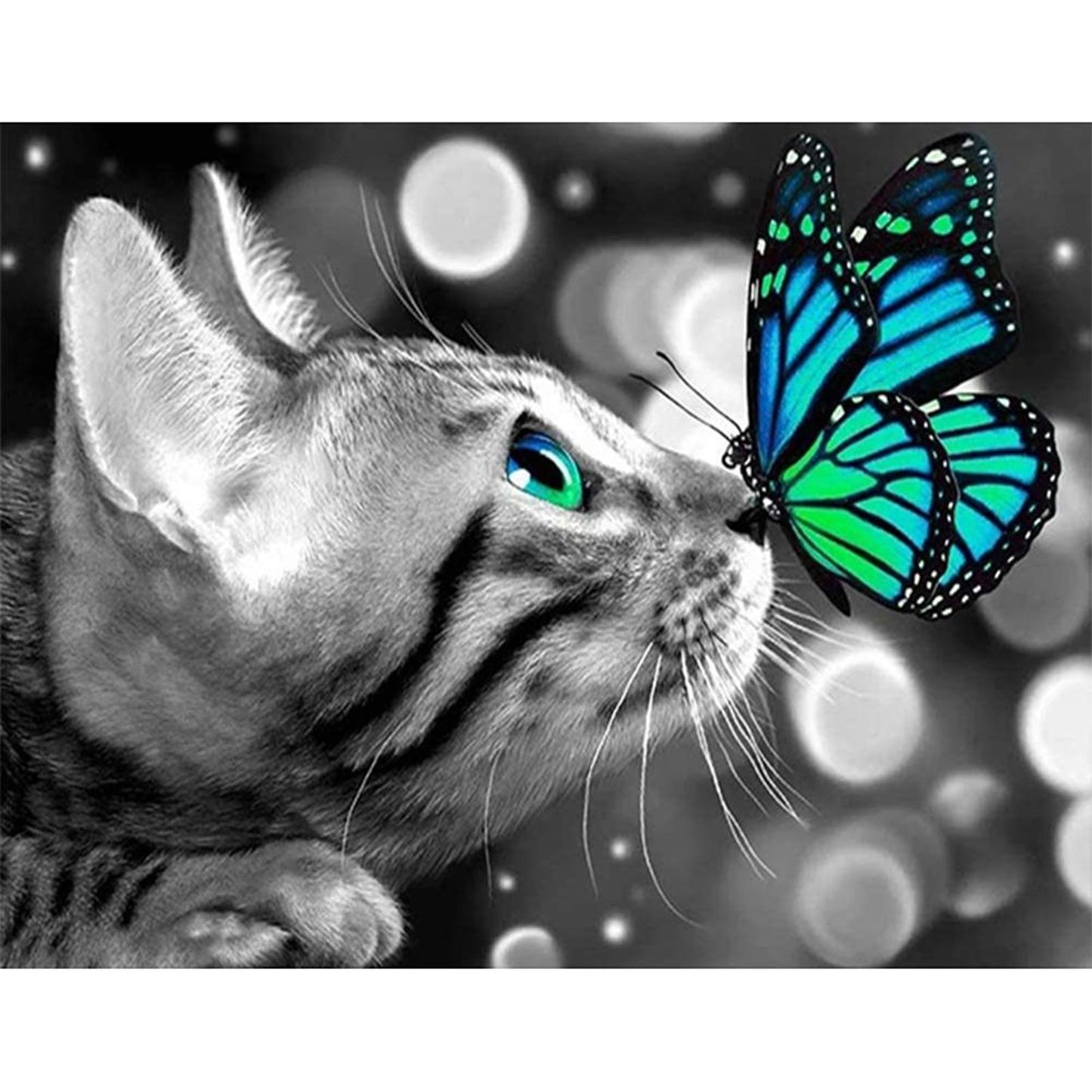Cat And Butterfly - Full 11CT Stamped Cross Stitch 50x40CM - Huacan