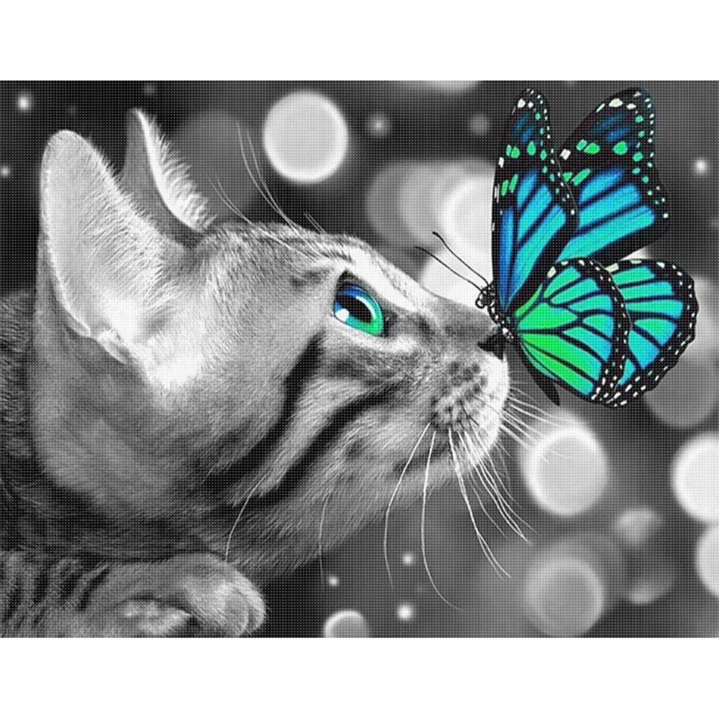 Cat And Butterfly - Full 11CT Stamped Cross Stitch 50x40CM - Huacan