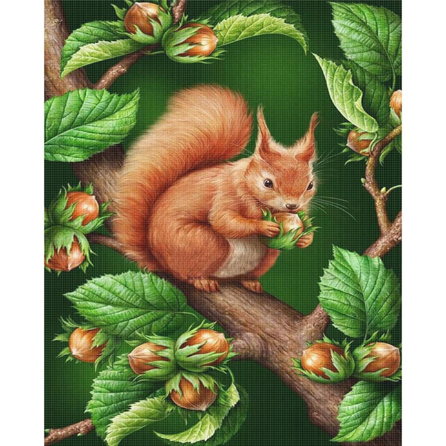 Squirrel On Branch - Full 11CT Stamped Cross Stitch 40x50CM - Huacan