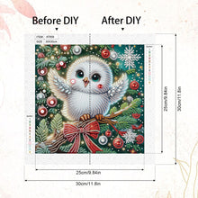 Load image into Gallery viewer, Christmas Owl 30*30CM(Canvas) Partial Special Shaped Drill Diamond Painting
