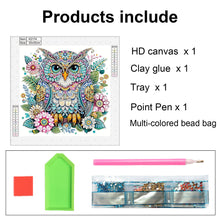 Load image into Gallery viewer, Owl 30*30CM(Canvas) Partial Special Shaped Drill Diamond Painting
