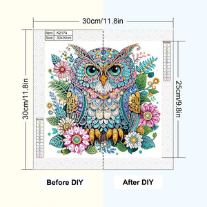 Owl 30*30CM(Canvas) Partial Special Shaped Drill Diamond Painting