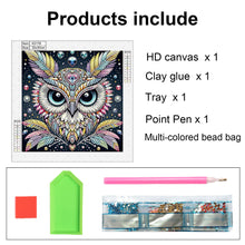 Load image into Gallery viewer, Owl 30*30CM(Canvas) Partial Special Shaped Drill Diamond Painting
